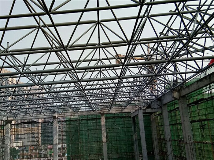 平度光谷第十一小学网架